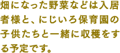 畑になった野菜などは入居者様と、にじいろ保育園の子供たちと一緒に収穫をする予定です。
