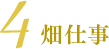 4 畑仕事