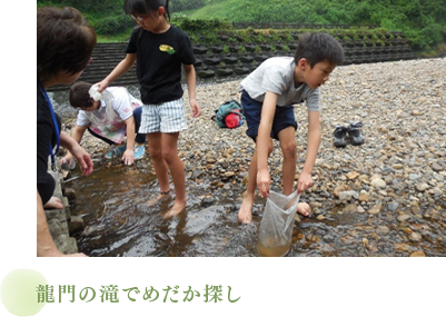 龍門の滝でめだか探し