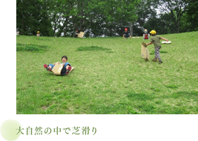 大自然の中で芝滑り
